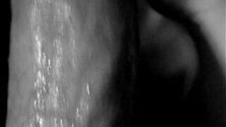 The anatomy of a blowjob - porn video